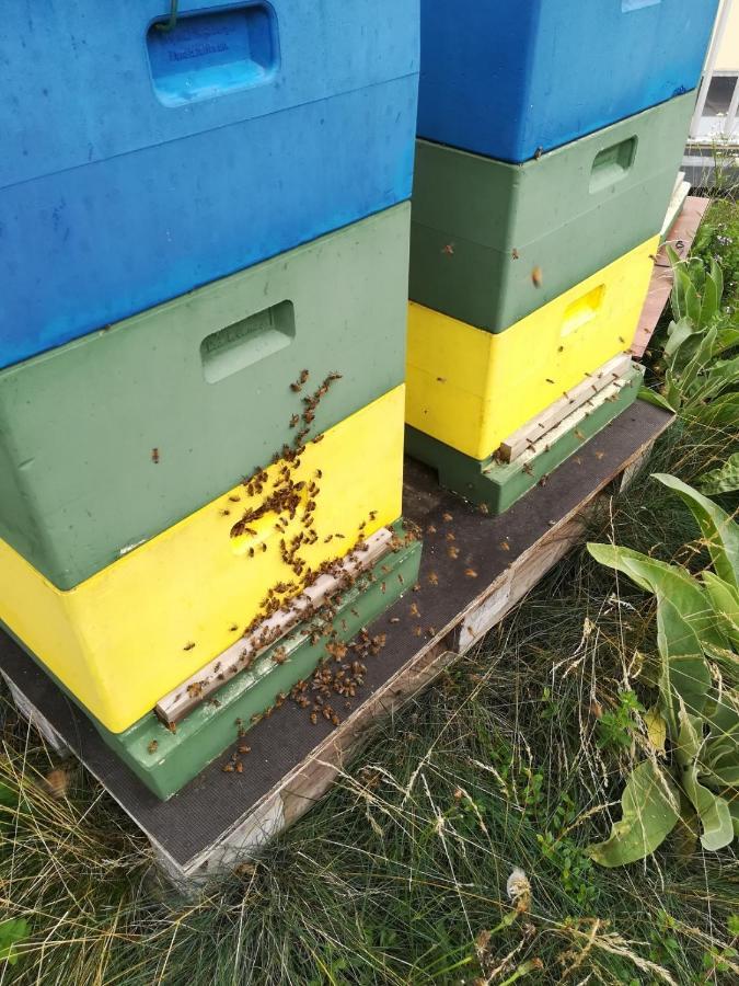 Ferienwohnung Wiesenweg Bad Bederkesa Kültér fotó