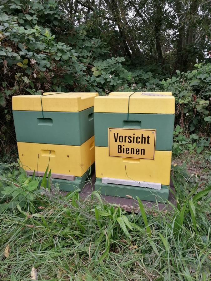 Ferienwohnung Wiesenweg Bad Bederkesa Kültér fotó