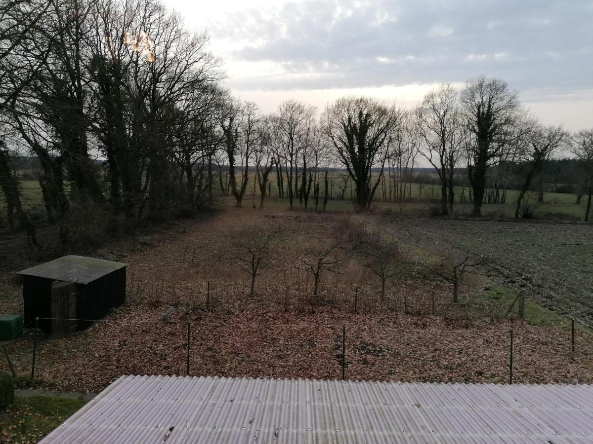 Ferienwohnung Wiesenweg Bad Bederkesa Kültér fotó